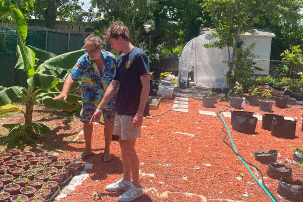 These aren’t just gardens. They’re classrooms of resilience and teamwork